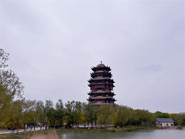 图片 27.png